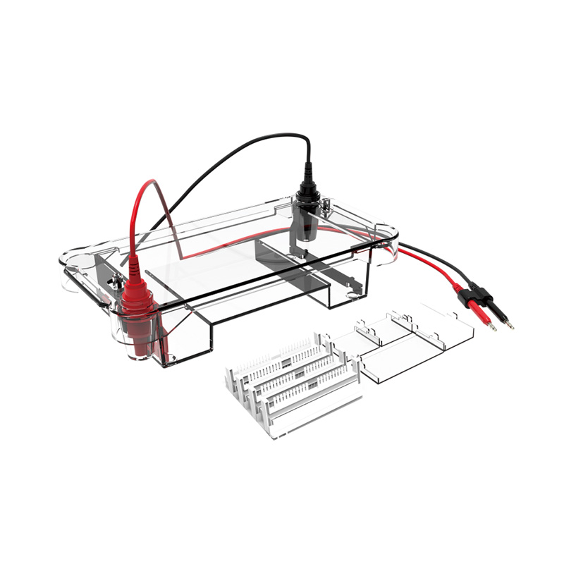 Electrophoresis System