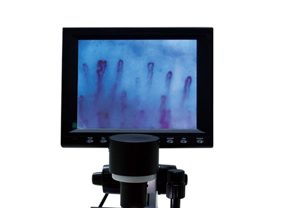Optical Products